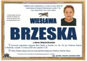 1brze-1