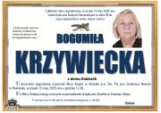 1krzy-1