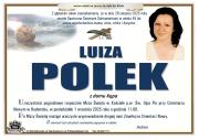 1pol-1