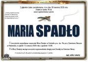 1spa-1