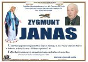 1zyg-1